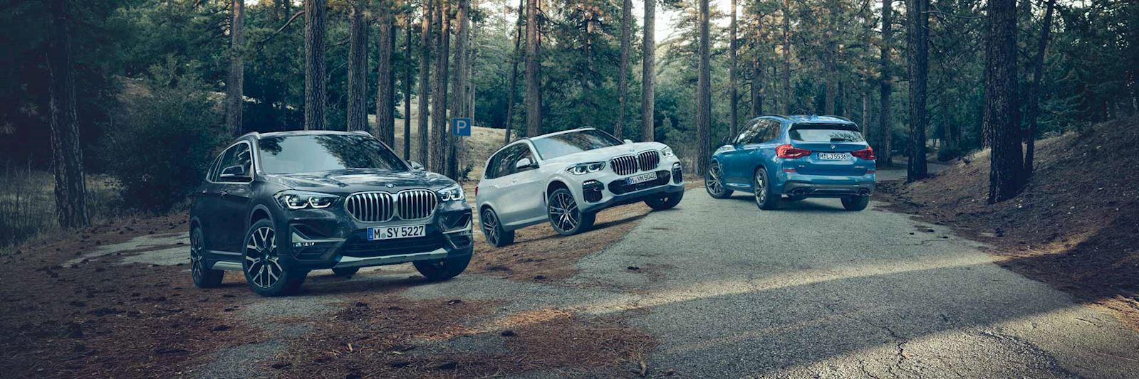 Lloyd BMW New and Used BMW Car Sales Lloyd Motor Group